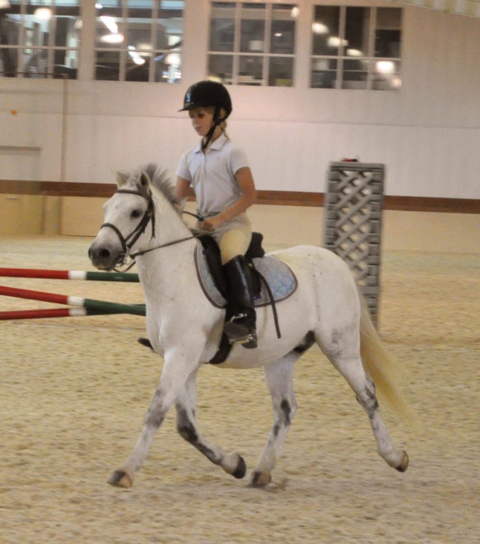 Horse Adventure Camp