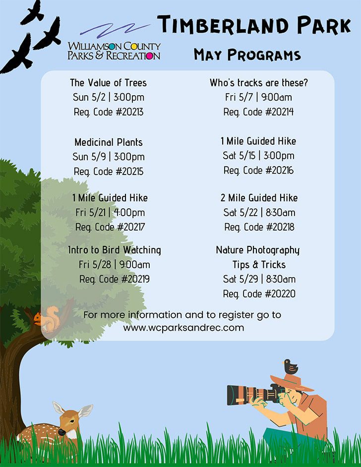 Outdoor activities in Franklin, TN for kids, teens and adults at Timberland Park.