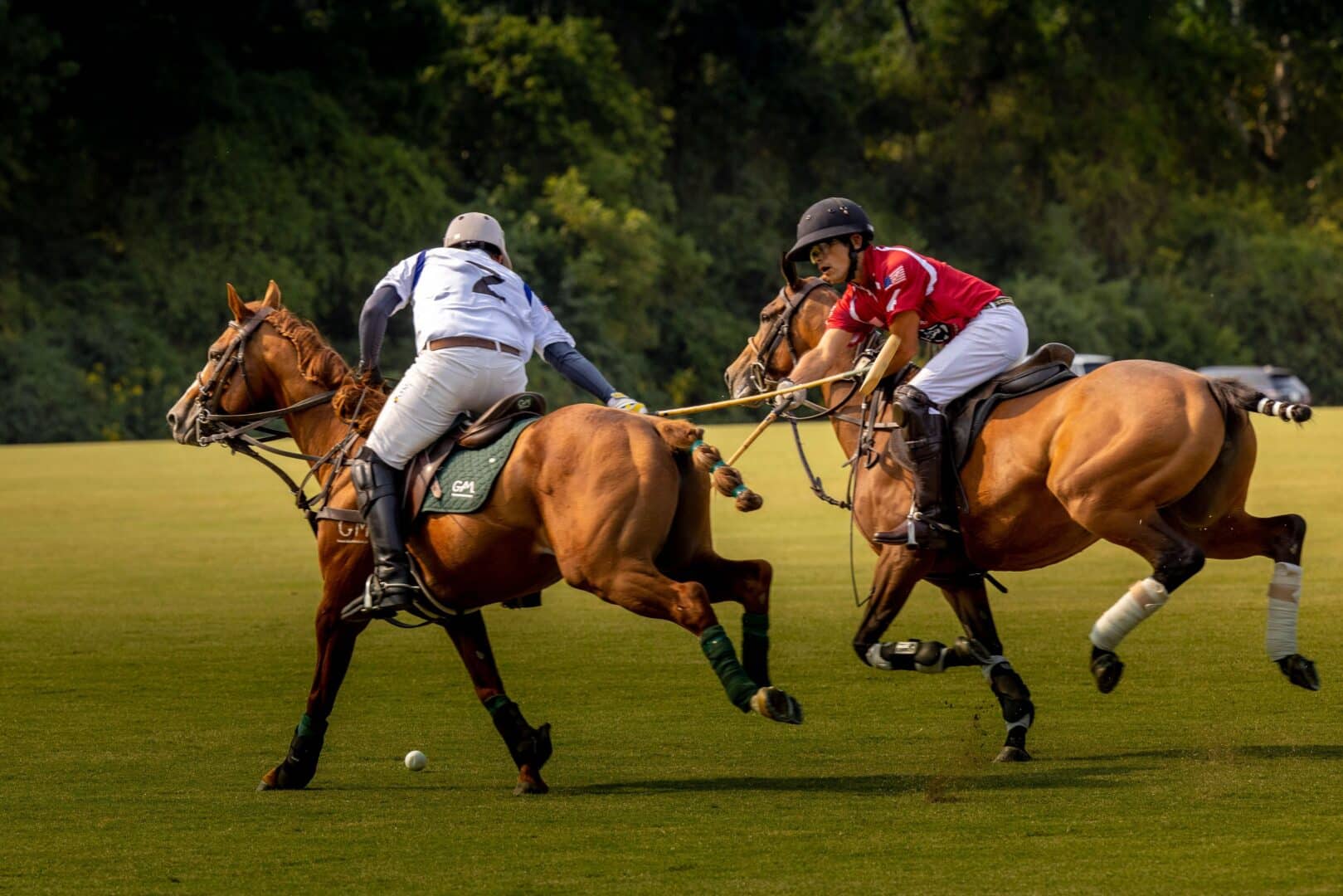 Chukkers for Charity Event Franklin Polo Action
