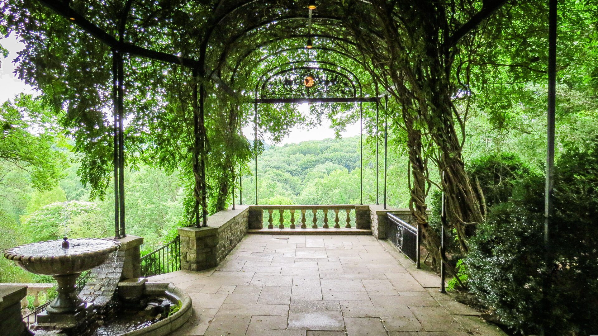 Cheekwood Estate & Gardens offers many places to take pictures in Nashville, Tennessee, from selfies at Wisteria Arbor to beautiful garden photos with family and friends.