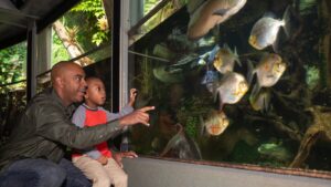 Family at the Nashville Zoo aquarium, fun family activities in Nashville at the Zoo.