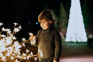 NathanZucker_Holiday Lights Cheekwood Nashville.