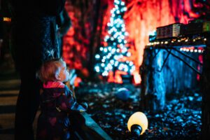 NathanZucker_Nashville Holiday Lights Festival Cheekwood.