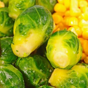 Brussel sprouts, Thanksgiving alternatives to turkey, vegan options.