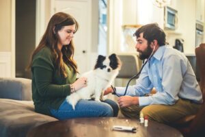 Mobivet Veterinarian caring for a dog, instead of having to spend time traveling to a veterinary clinic and then waiting for the appointment, Mobivet offers the convenience of having pets cared for right in their homes. Established in 2019, the team serves Brentwood, Metro Nashville and Williamson County.