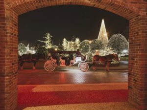 Carriage Rides Nashville Family Activity