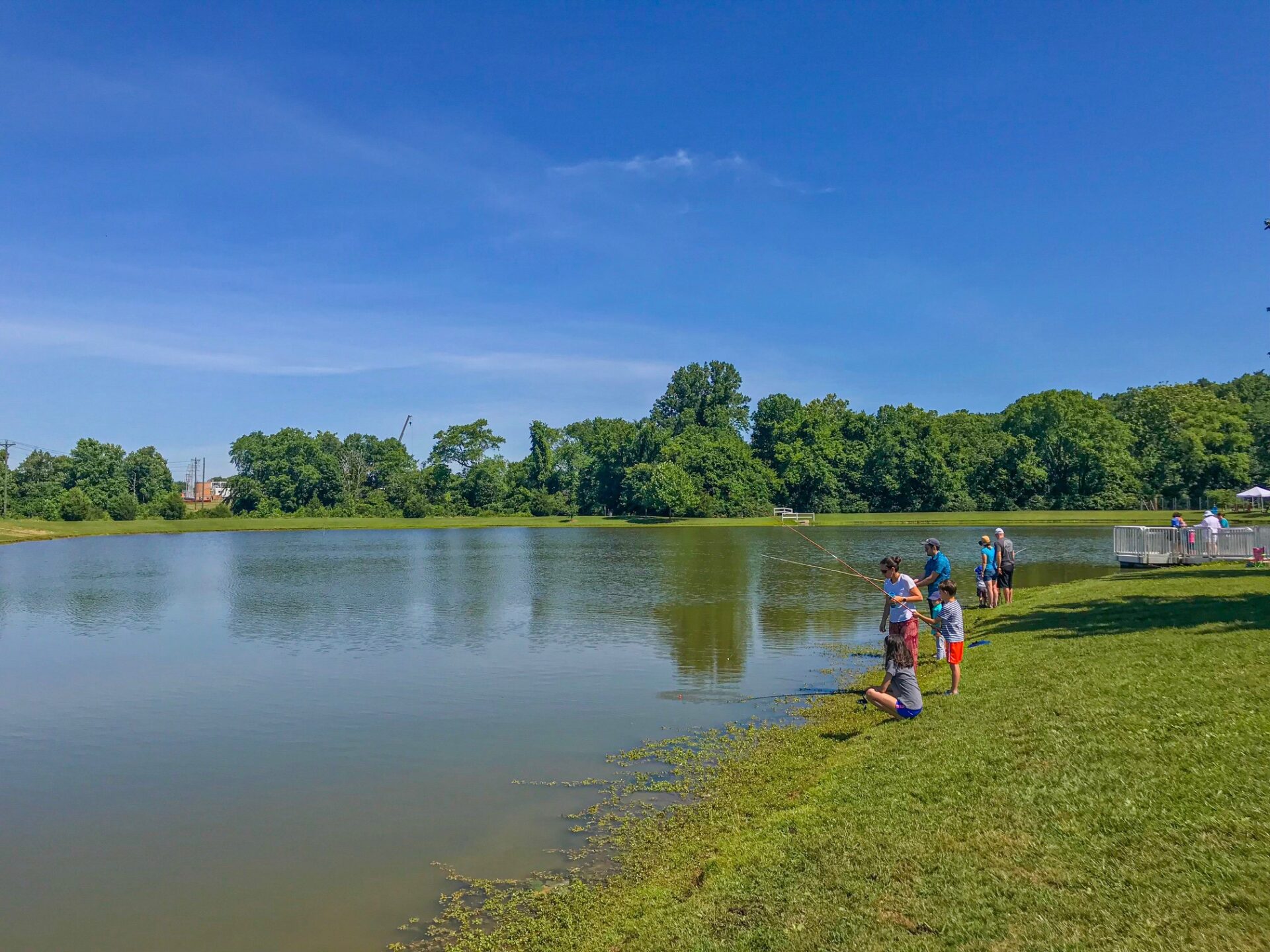 Pond fishing at Harlinsdale Farm in Franklin, TN.