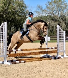 Mattie Ann 2 - Mattie Ann Harwell to serve as the child ambassador for the 2022 Iroquois Steeplechase