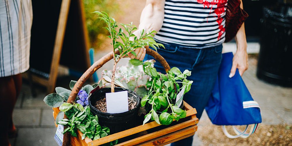 Brentwood Event_Plant & Seed Swap.