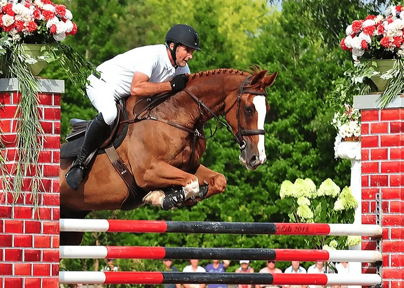 Franklin Music Country Grand Prix equestrian show jumping competition - past winner.