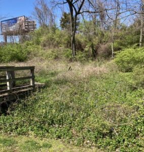 Frierson-Voorhies Cemetery, Hardscuffle Community - Brentwood, TN.