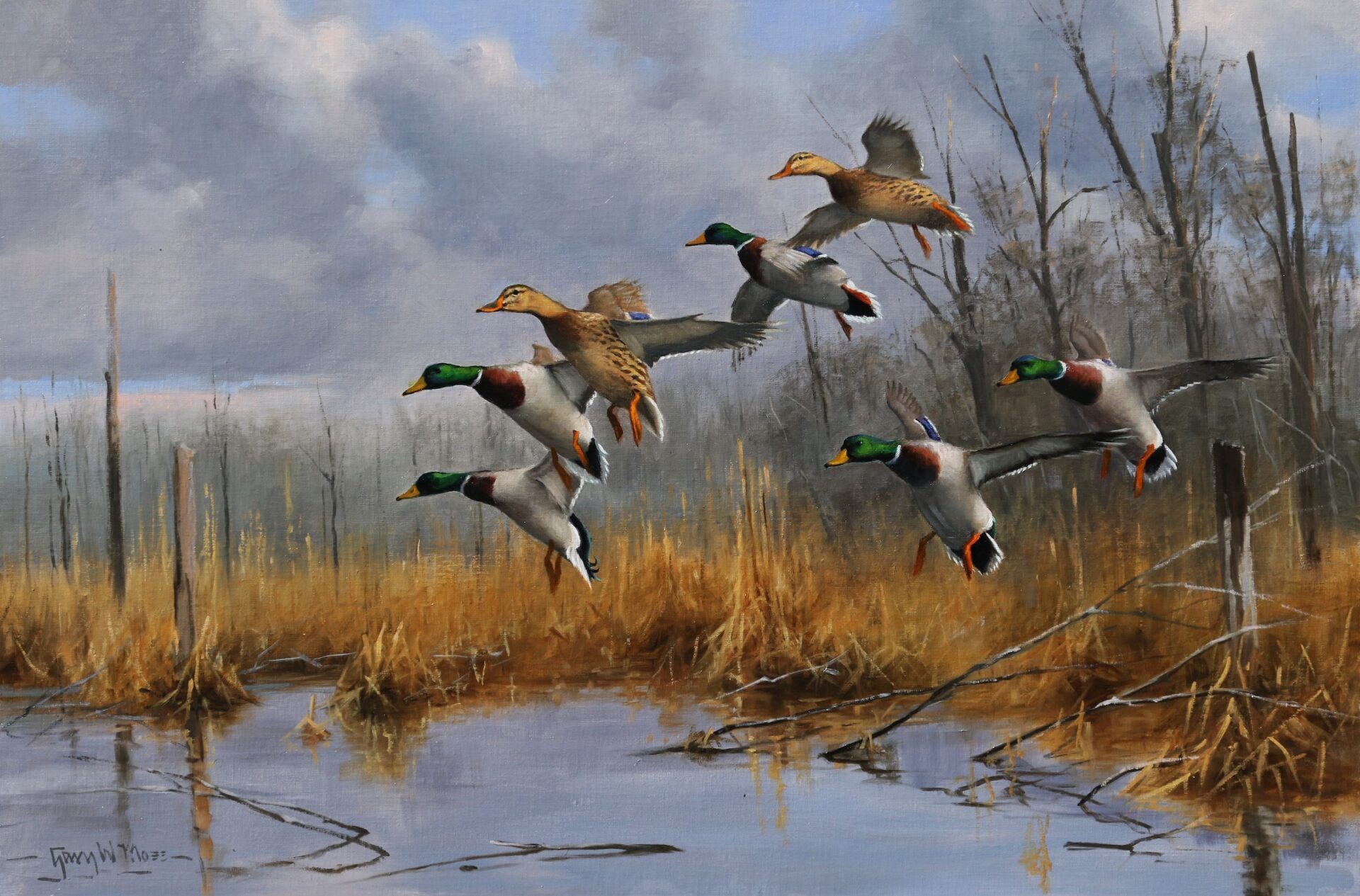 Moss Timber Mallards Painting.