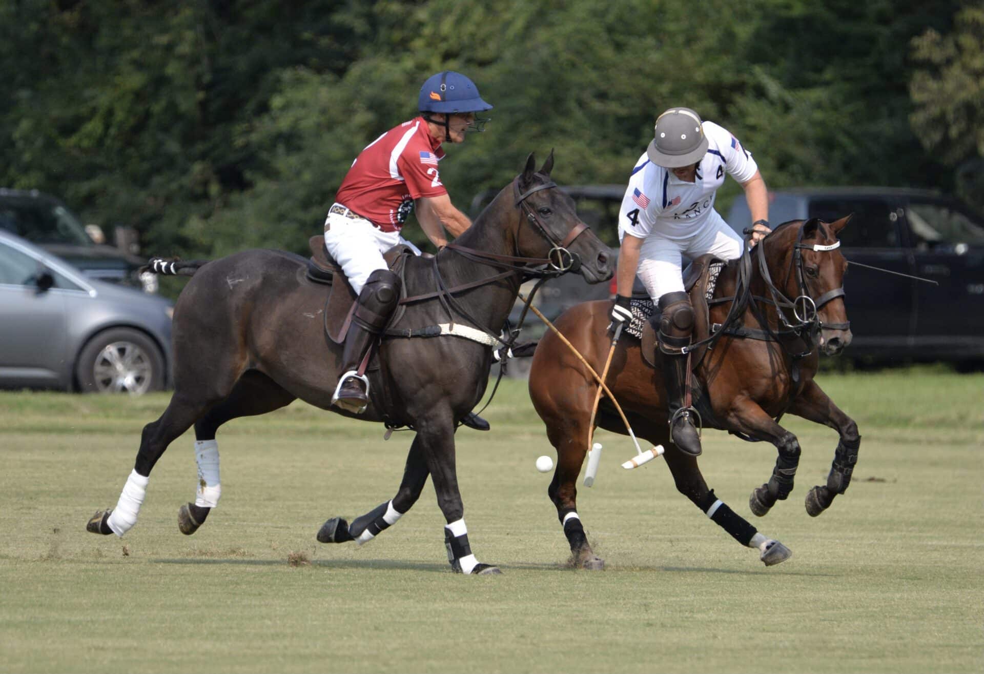 Chukkers for Charity Franklin Tenn Event.