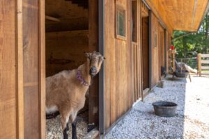 Hidden Acres's Property Barn Brentwood TN 10