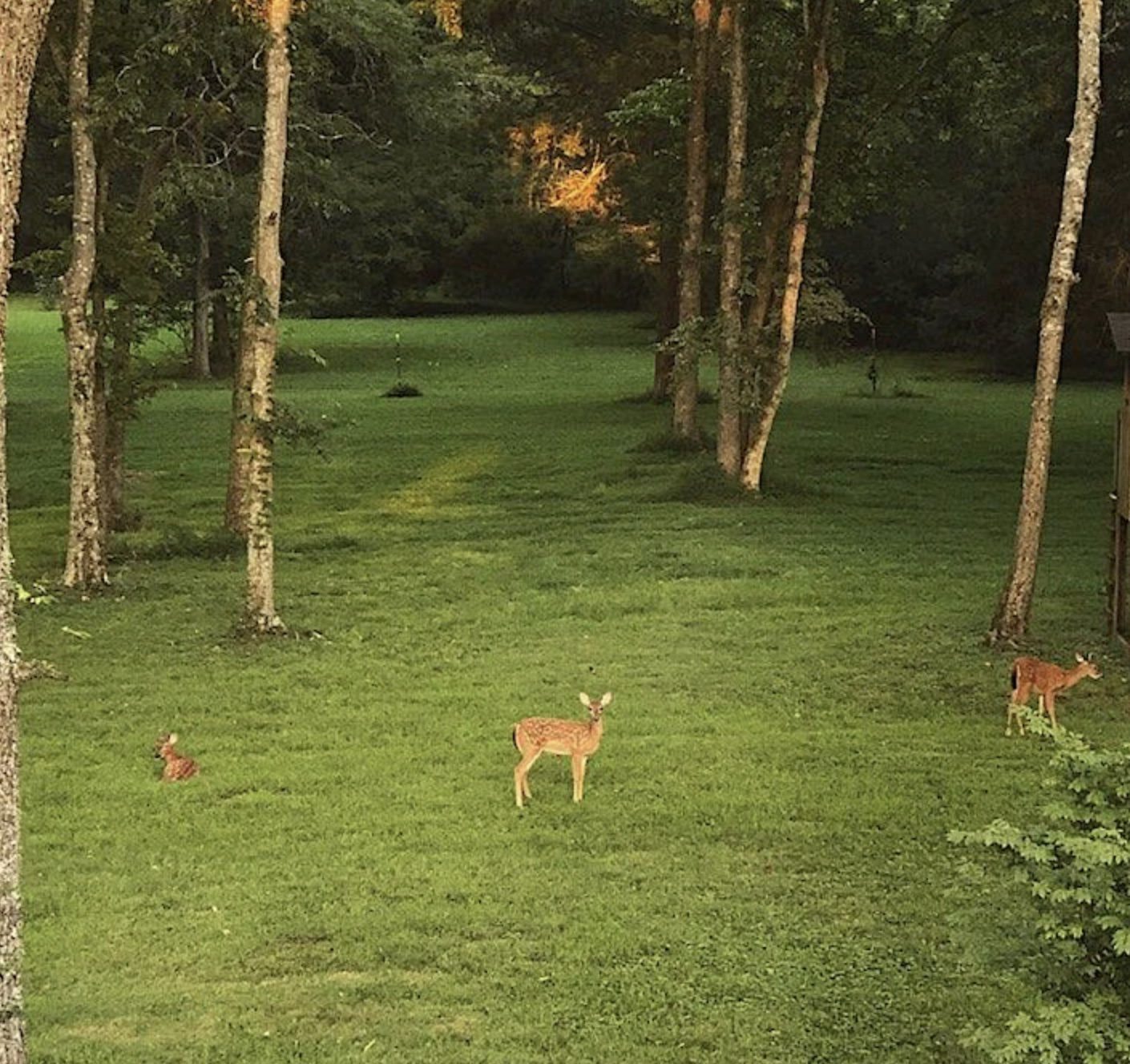 An Autumn Evening at Fawns Hearth Franklin, TN
