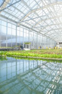 Southall Farm & Inn in Franklin TN is a working farm and an inviting inn with dining and spa experiences.