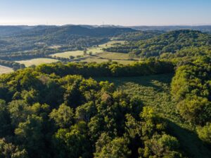 Southbrooke-Southvale_Franklin, TN