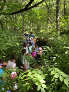 Stoney Creek Farm Franklin, TN Kids Activities