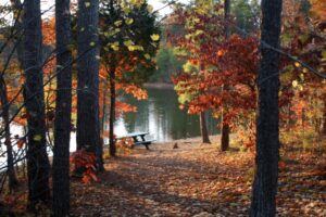 Bowie Nature Park Fairview Tenn.