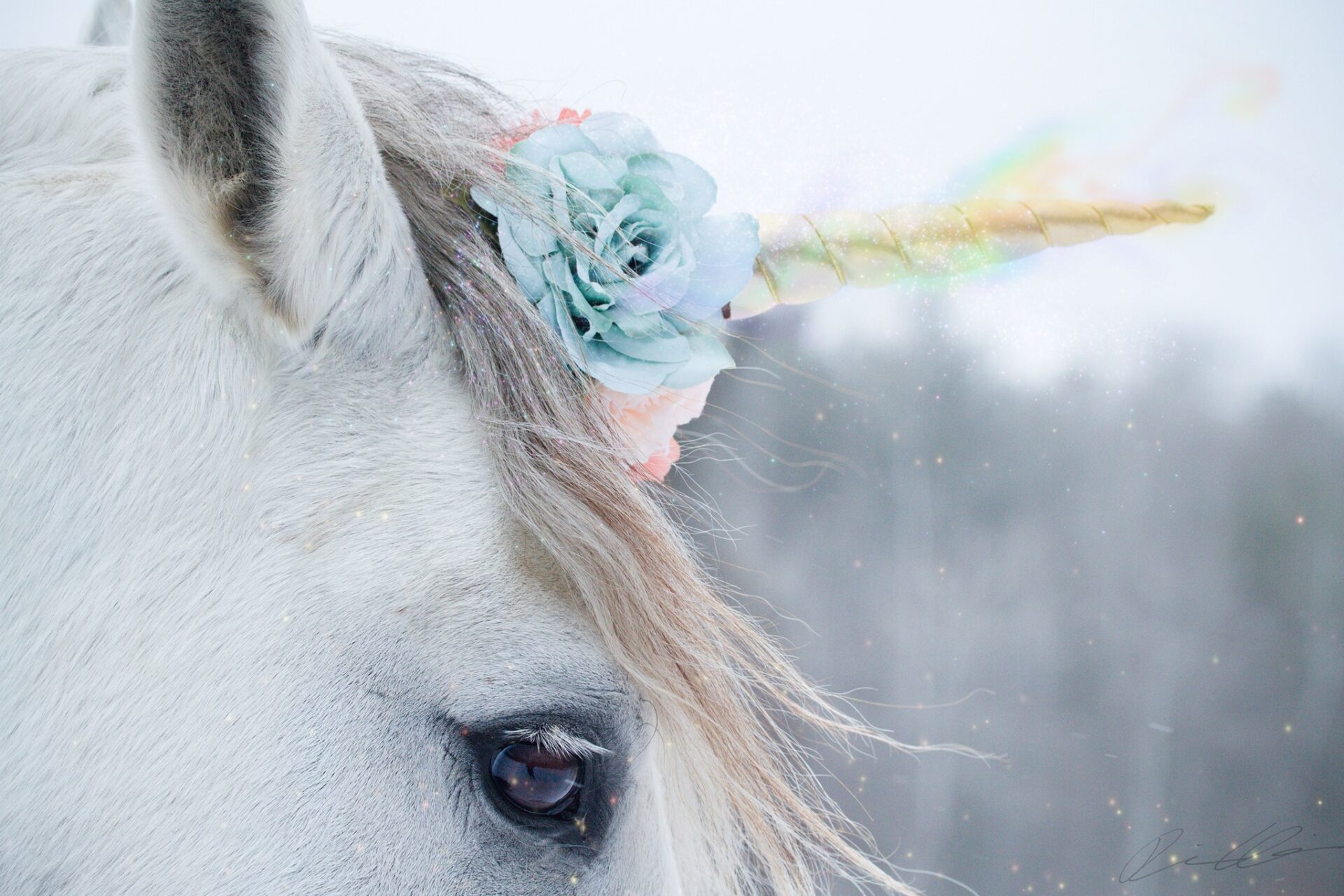 Magical Unicorn Meet ‘N Greet