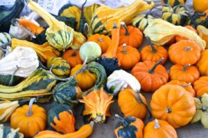 The Franklin Farmers Market Downtown Franklin