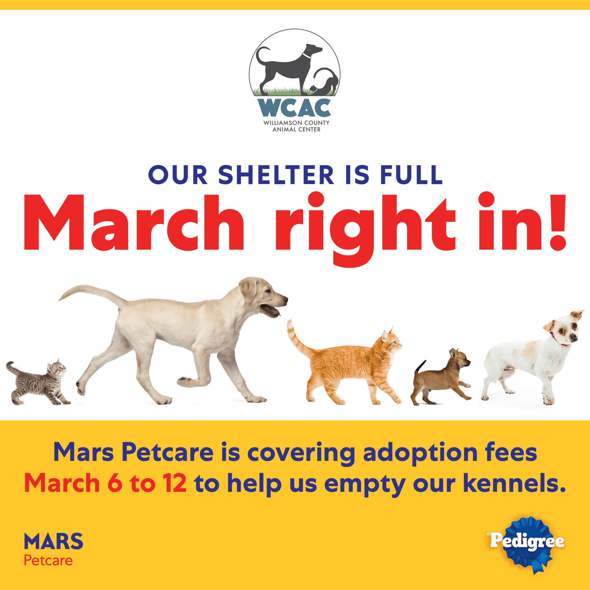 March Adoption Weekend 2023_WCAC_rev