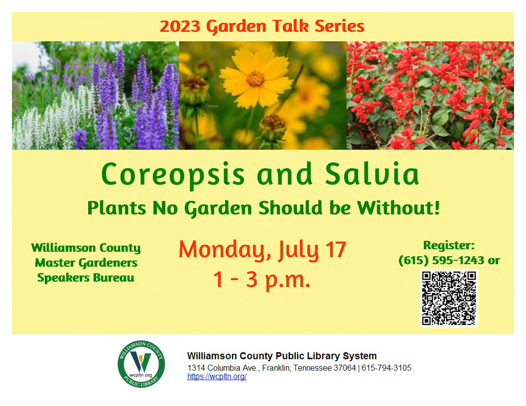 coreopsis-and-salvia-plants-no-garden-should-be-without-PNG