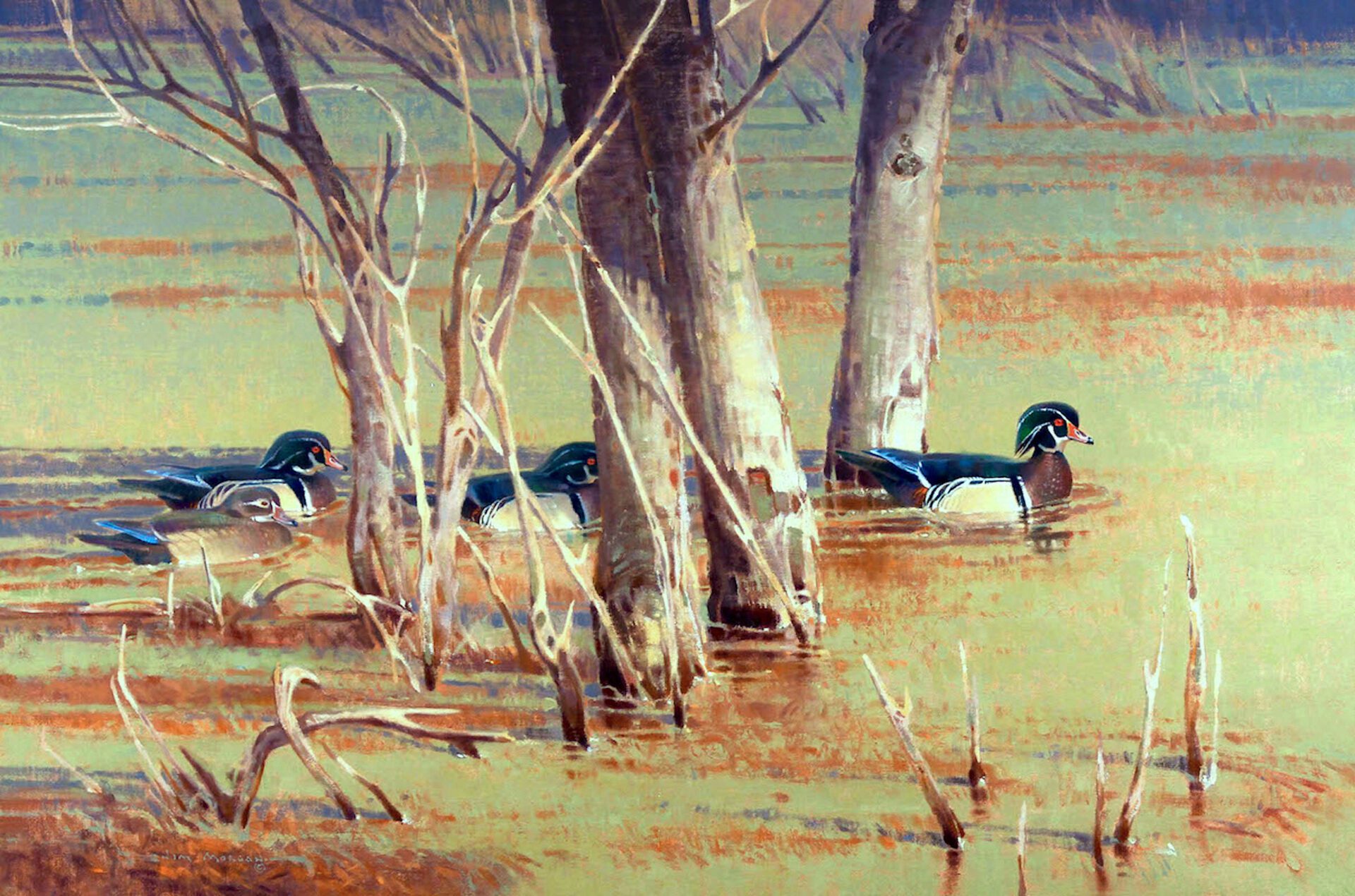 Divers & Dabblers Art Exhibition _MorganFloodedTimberWoodDucks Divers & Dabblers Art Exhibition _MorganFloodedTimberWoodDucks