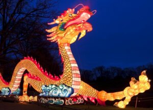 Zoolumination Nashville TN