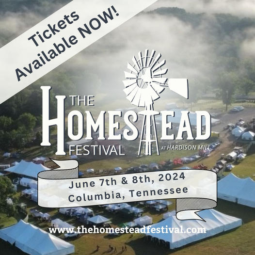 HOMESTEAD FESTIVAL BLUE SQUARE GRAPHIC