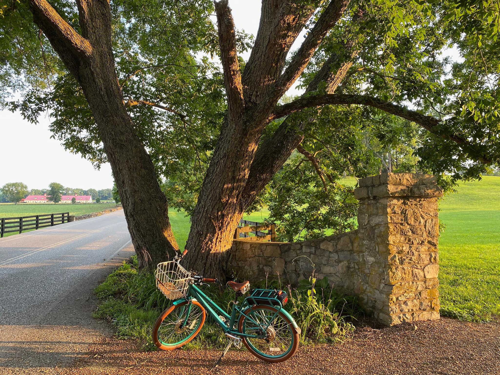 Pedego Electric Bike Tour Franklin