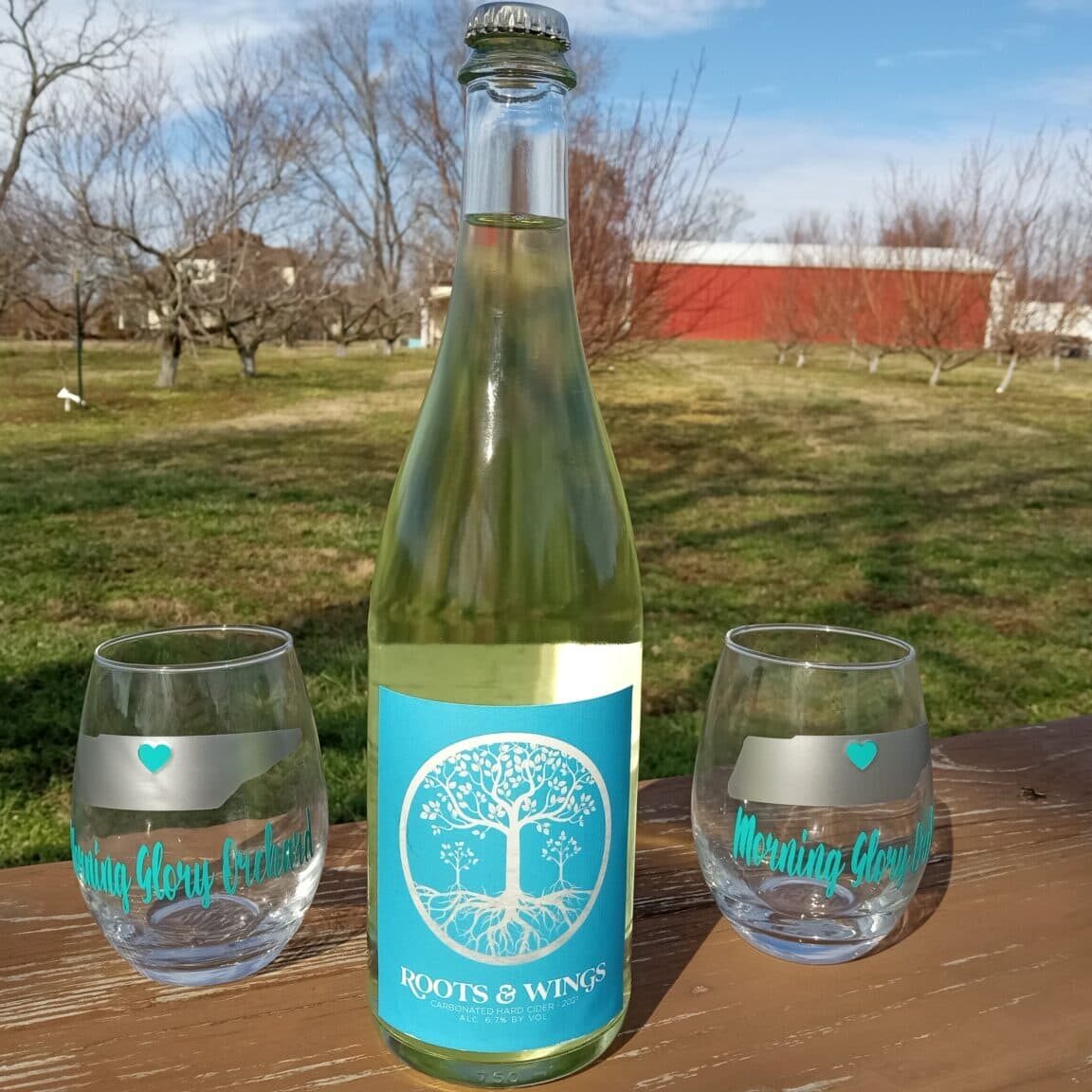 Mixology Craft Cocktail Class Nolensville, TN