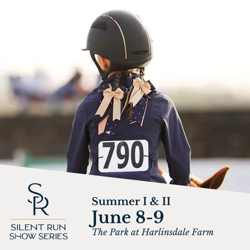 Silent Run Show Series June in Franklin Tenn.