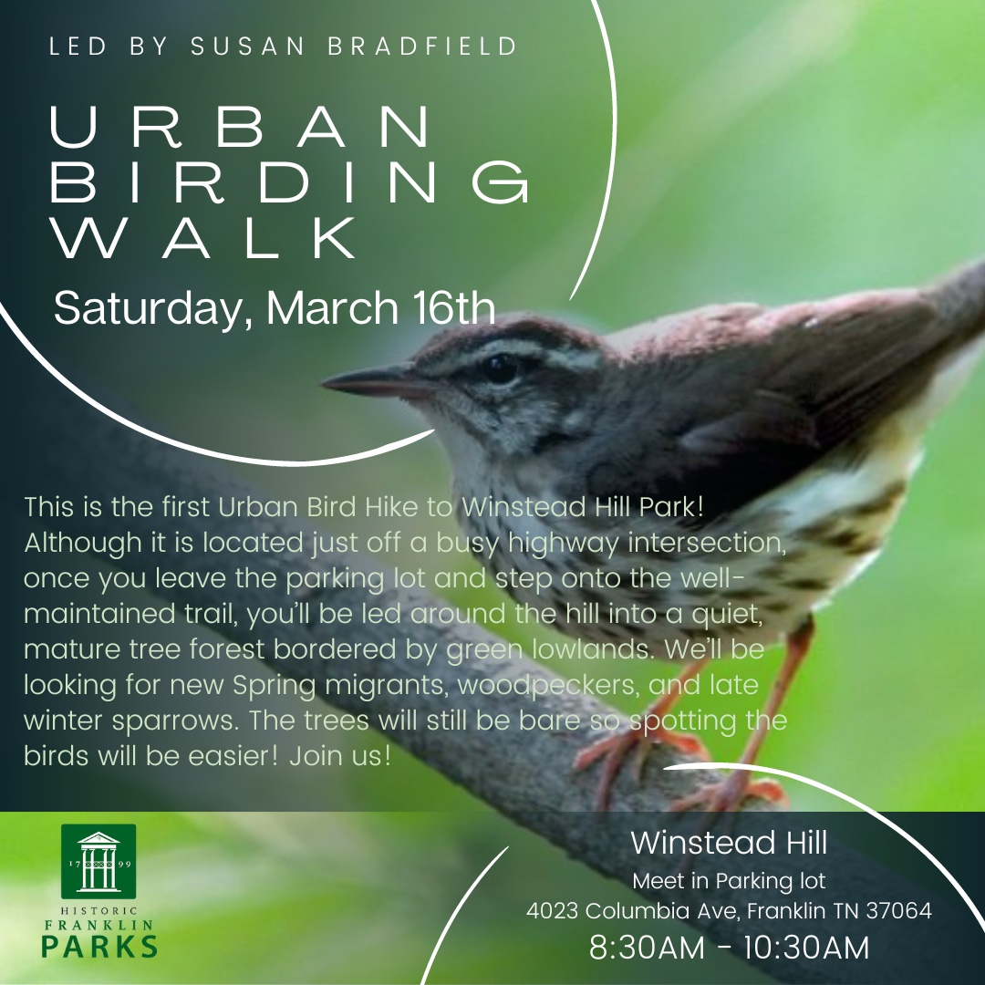 Urban Birding Walking Series Franklin TN
