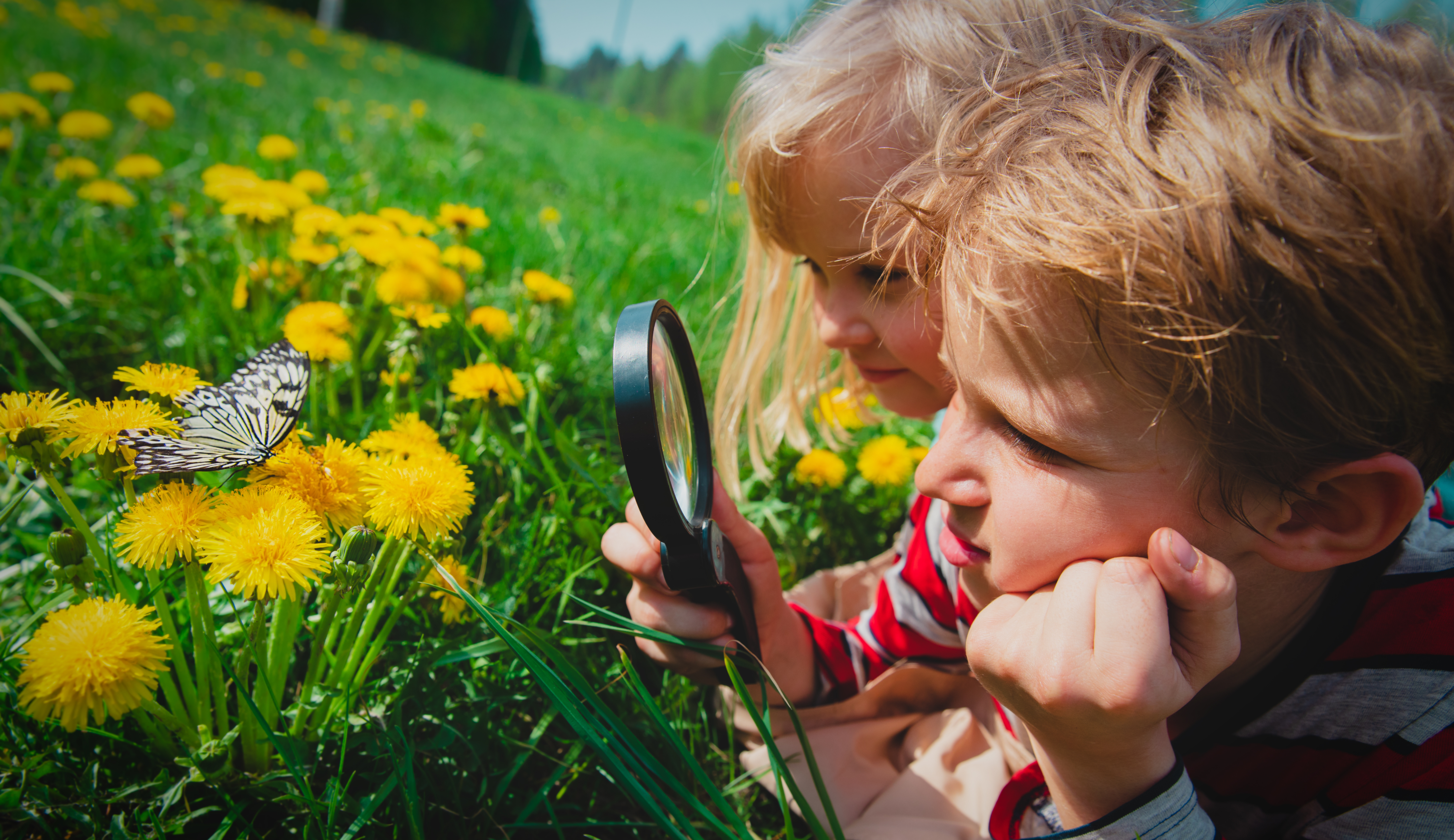 Children enjoying nature activities for kids in Franklin, Tennessee.