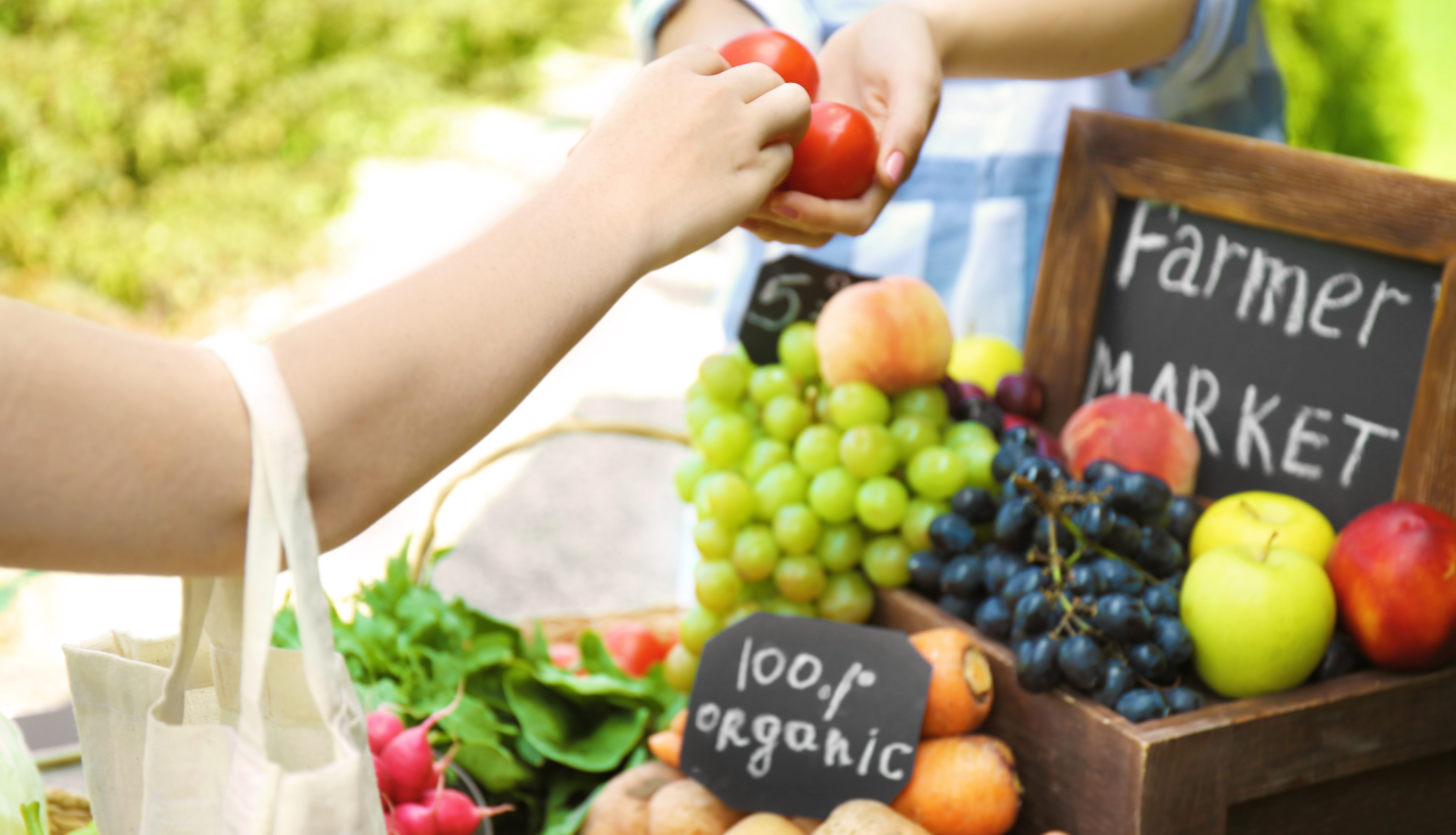 Farmers Market in Franklin TN Organic produce