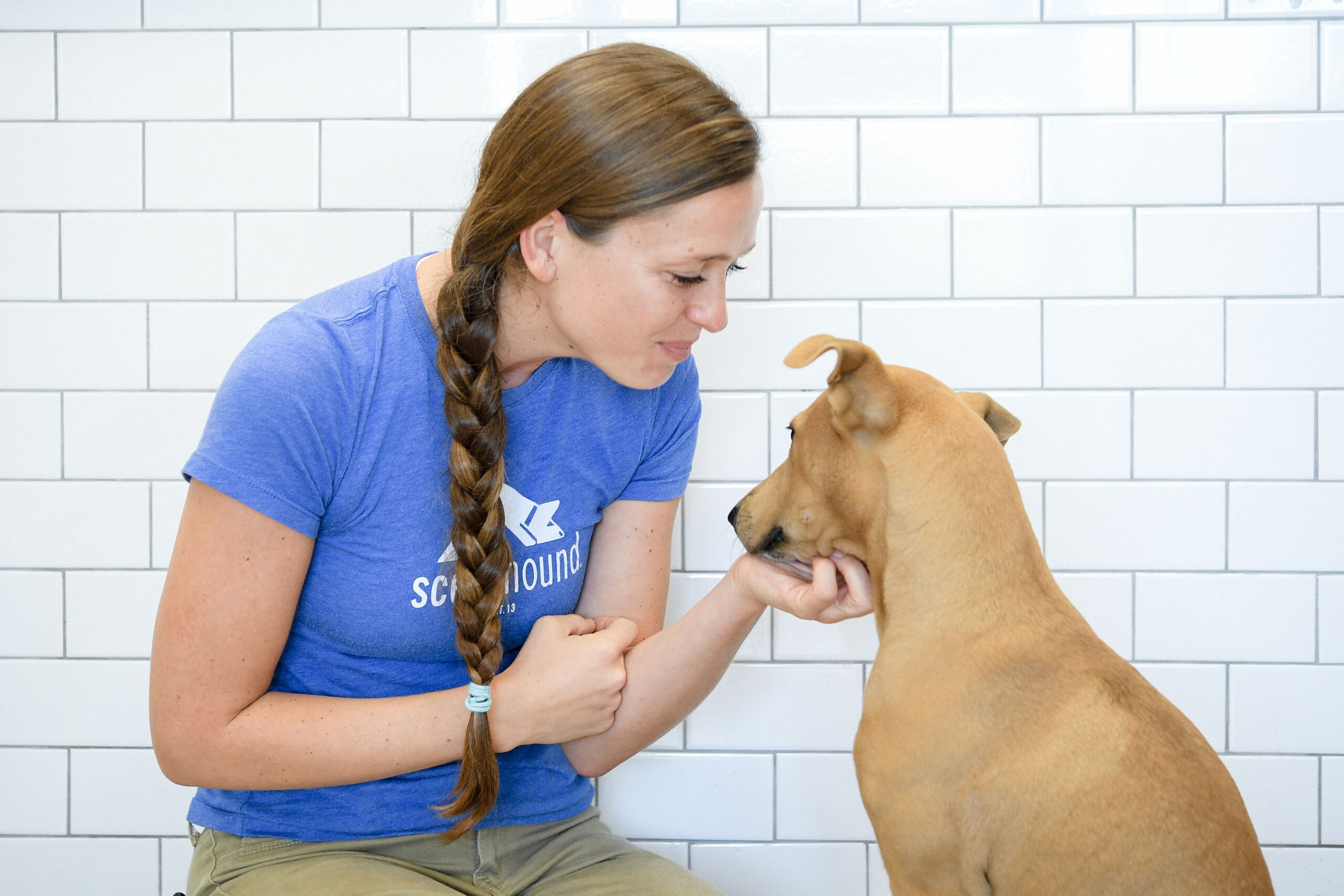 Scenthound Franklin, TN_Boutique Dog Grooming Center_Dog