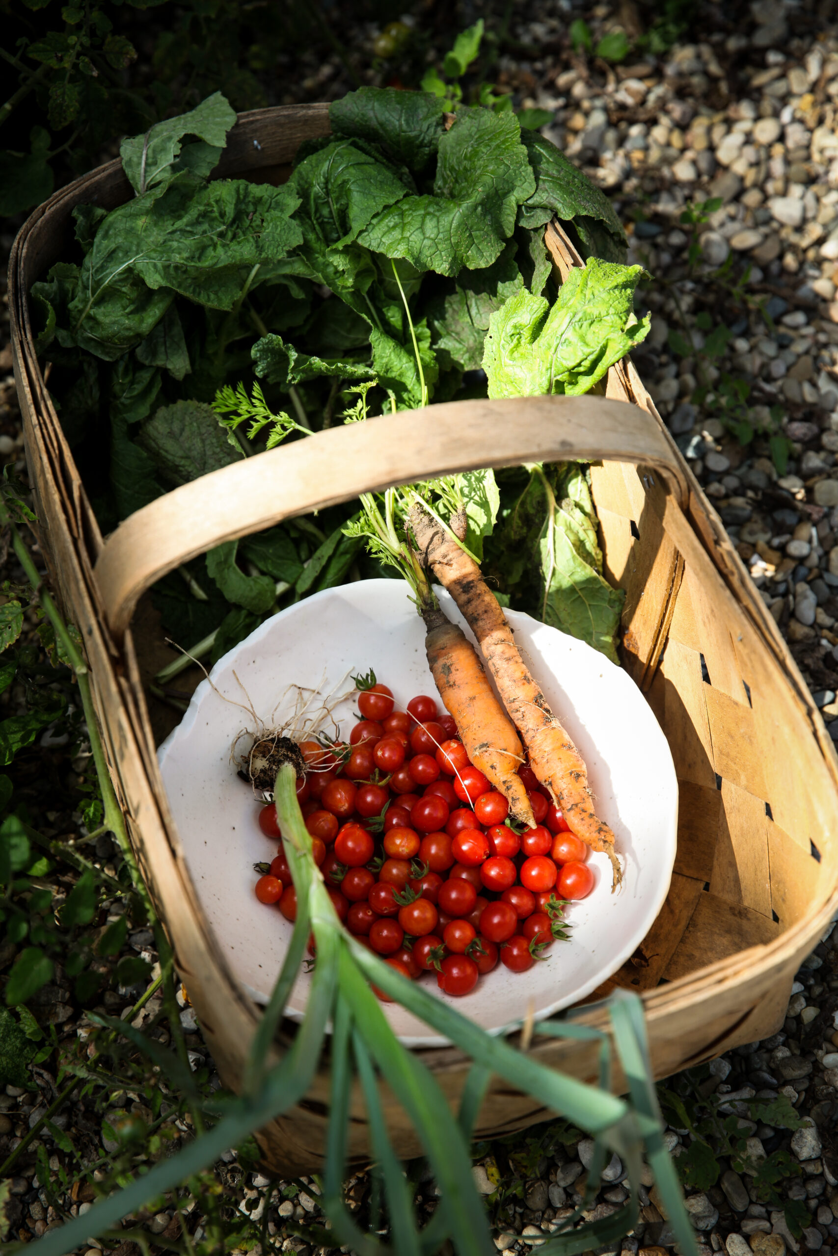 Summer Harvest Dinner Miel Restaurant Nashville_ Photo-Credit-Jen-McDonald.