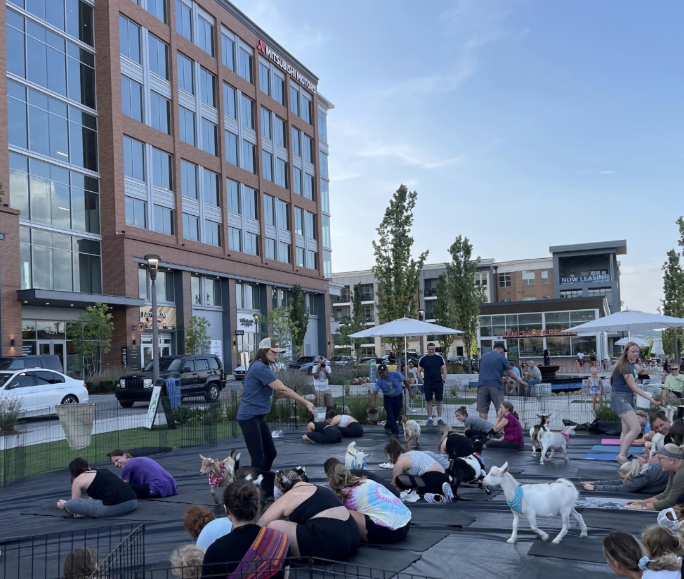 Goat Yoga at McEwen Northside Franklin, Tenn.