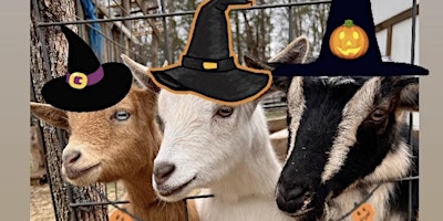 Goat Yoga Nashville- Halloween Spooktacular in Nolensville, TN.