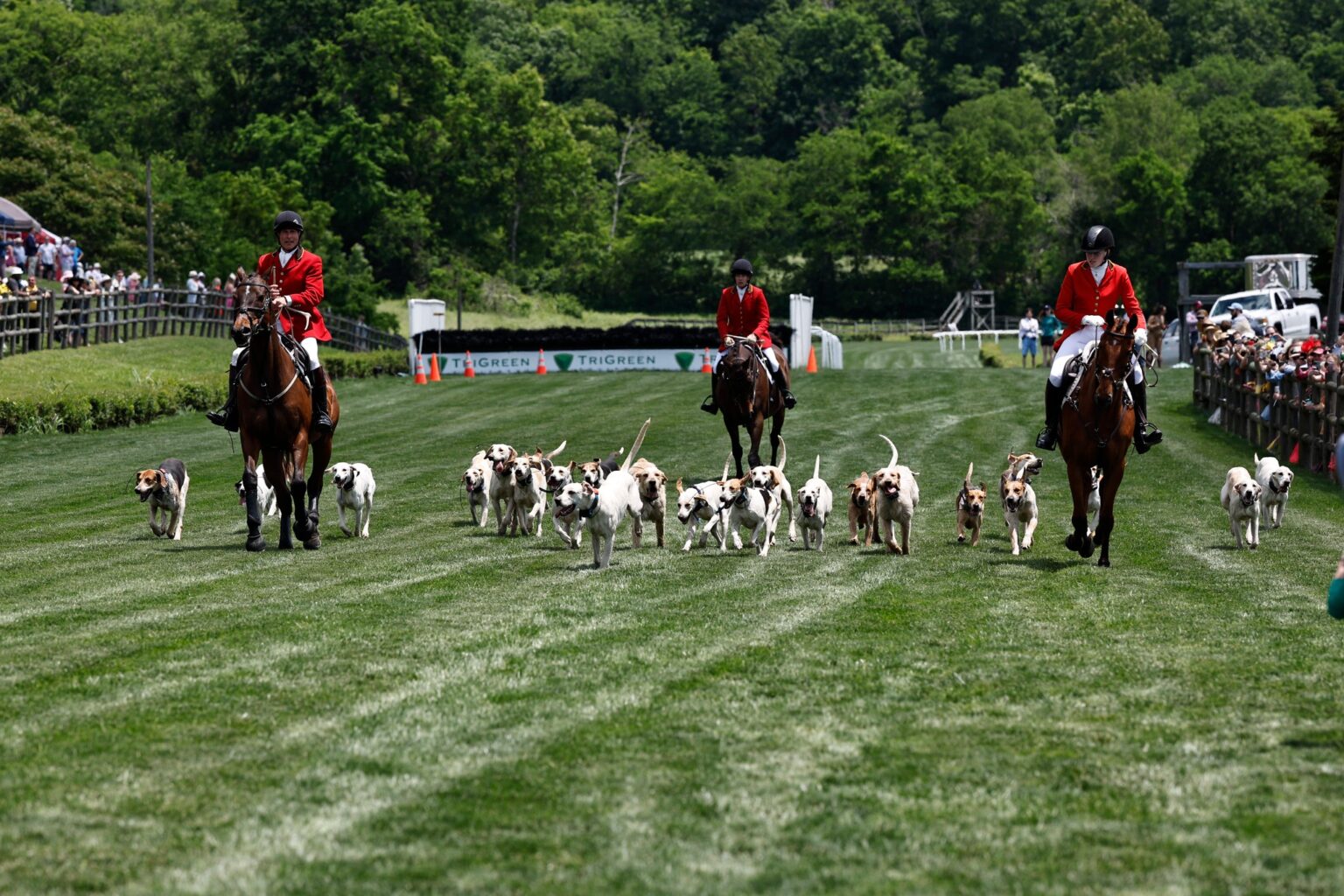 Iroquois Steeplechase Nashville, TN_Horse and Hound.
