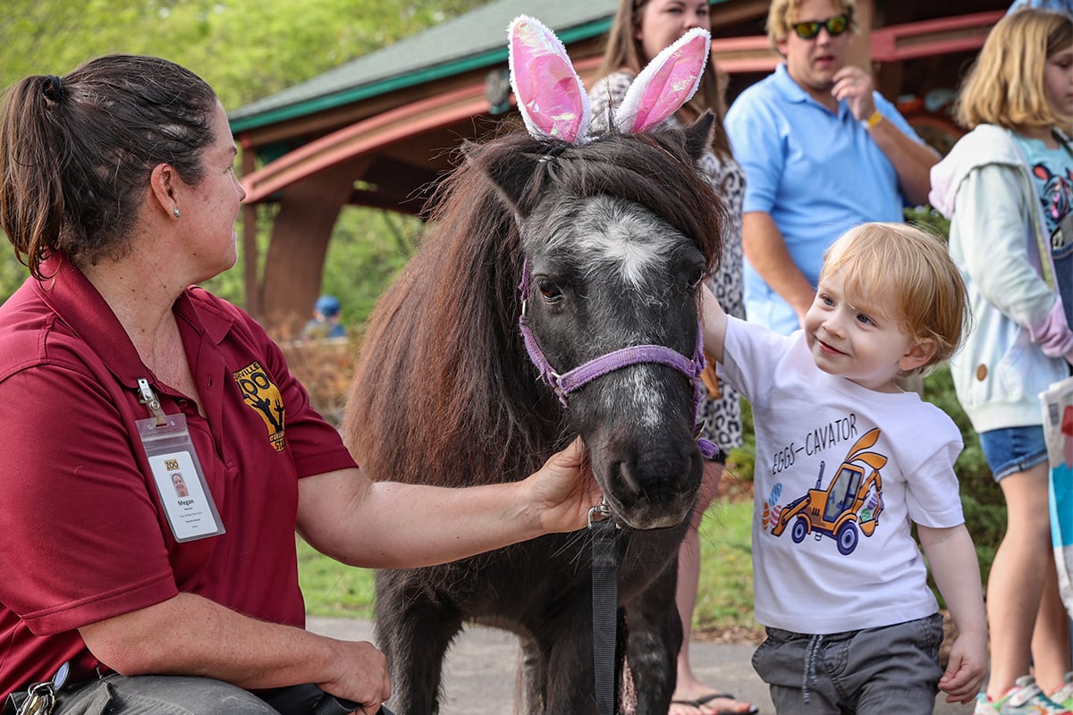 Eggstravaganzoo Nashville, TN_Easter Events for Kids and Family Friendly Events!
