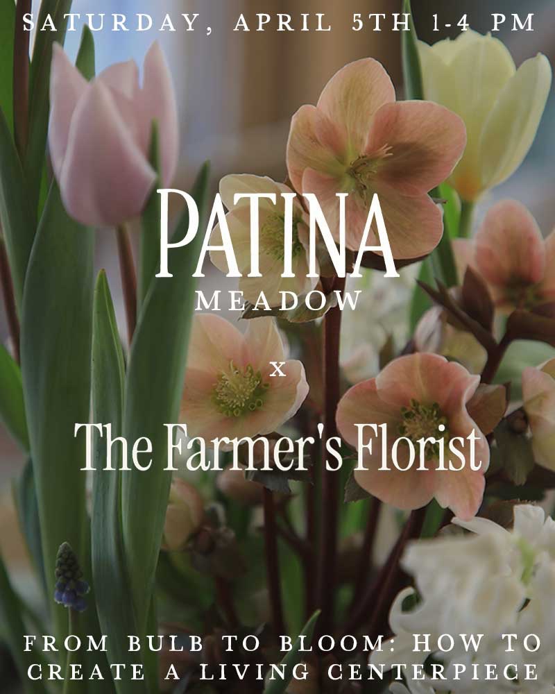From Bulb to Bloom- Creating a Living Spring Arrangement with the Farmer's Florist in Leiper's Fork, TN.