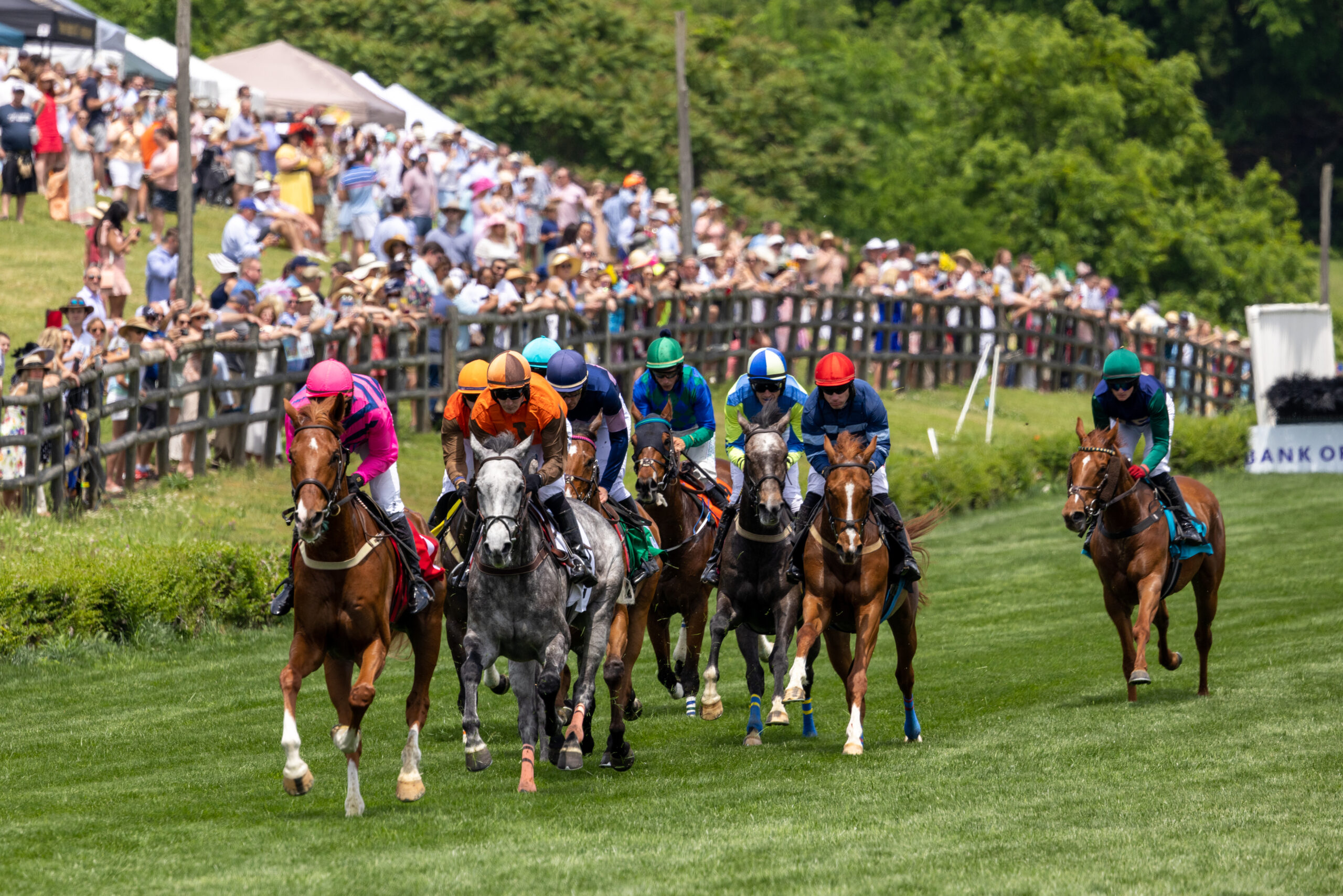 Iroquois Steeplechase Nashville, Tenn._Horses Racing