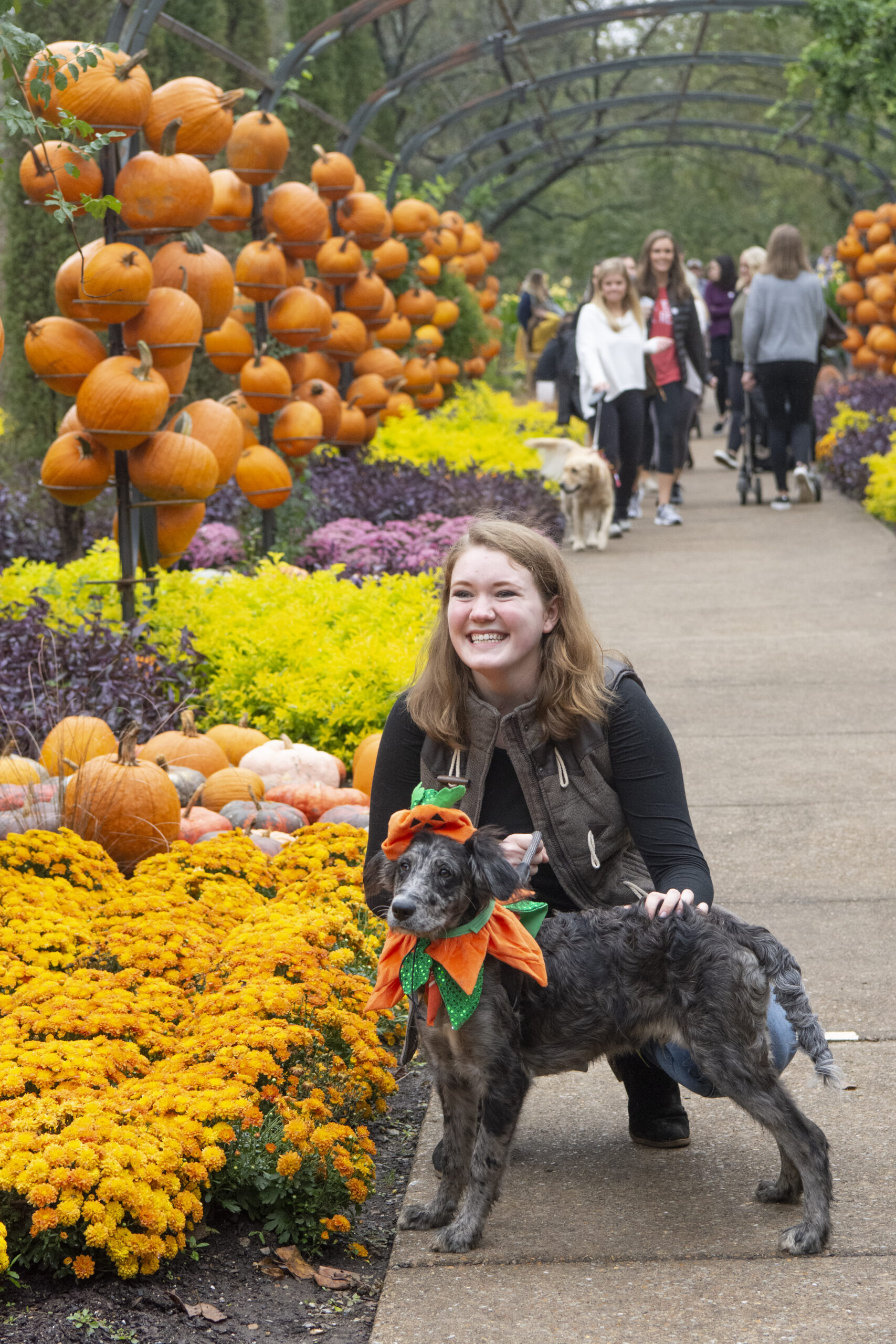 Cheekwood Harvest Nashville Halloween Pooch Party. Photo by Caitlin Harris. Courtesy of Cheekwood Estate & Gardens.