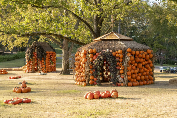Cheekwood Harvest Nashville, TN. Photo by Caitlin Harris. Courtesy of Cheekwood Estate & Gardens.