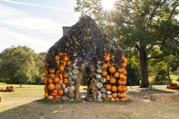 Cheekwood Harvest Nashville Photo by Caitlin Harris. Courtesy of Cheekwood Estate & Gardens.