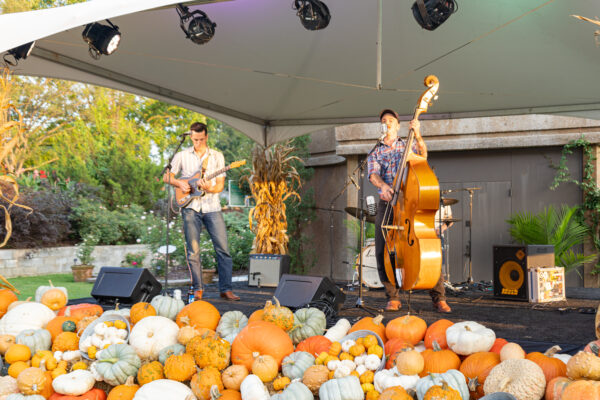 Cheekwood Harvest Nashville, Thursday Night Out. Photo by Diana Rosales. Courtesy of Cheekwood Estate & Gardens.