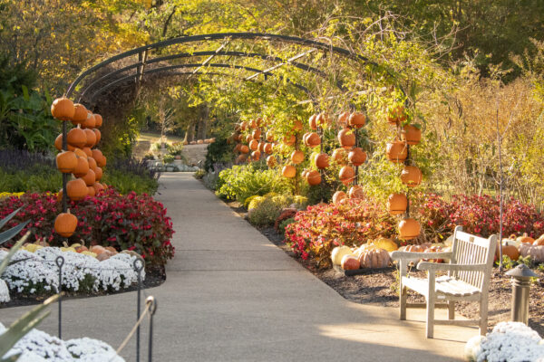 Cheekwood Harvest. Photo by Caitlin Harris. Courtesy of Cheekwood Estate & Gardens.