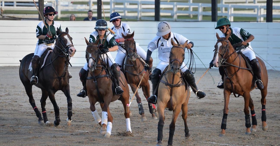 Franklin Polo Academy Franklin TN